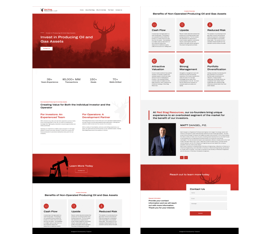 Web design RedStag - web